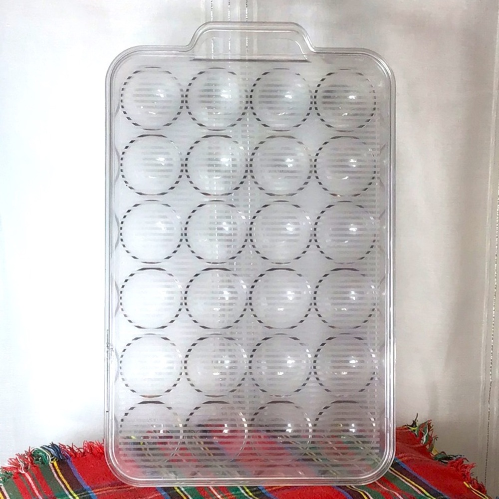 🐓GOT EGGS 🥚 2 Dozen Refrigerator  Egg Container With Vented Lid 24 count